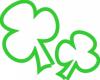 shamrocks-st-patricks-day.jpg 19.8K