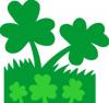 clovers.jpg 17.9K