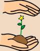 planting03.jpg 17.8K