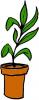 potted_plant.jpg 15.6K