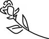 rose06.jpg 10.6K