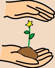 planting03.jpg 17.8K