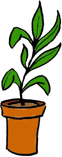 potted_plant.jpg 15.6K