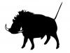 african_boar.jpg
