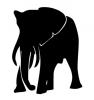 african_elephant.jpg