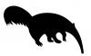 anteater.jpg