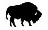 buffalo.jpg