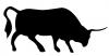 bull.jpg