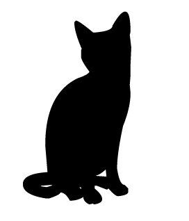 cat2.jpg