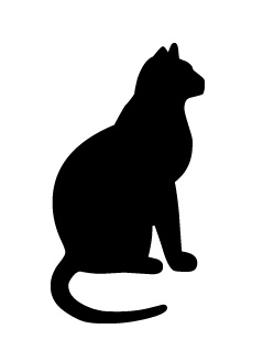cat_sitting.jpg