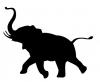 charging_elephant.jpg