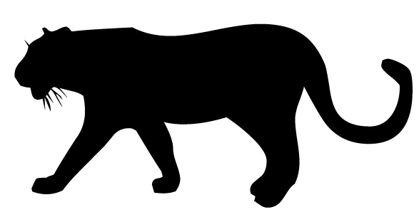 cheetah.jpg