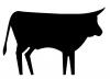 cow.jpg