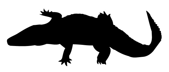 crocodile.jpg