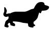 dachshund.jpg