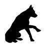 dog_shake_paw.jpg