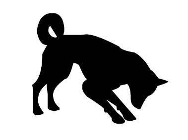 dog_sniffing.jpg