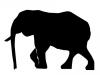 elephant.jpg