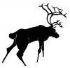 elk.jpg