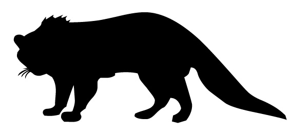 fox.jpg