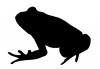 frog.jpg