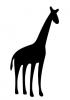giraffe.jpg