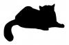 house_cat.jpg
