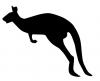 kangaroo.jpg