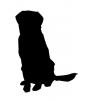 large_dog.jpg