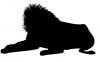lion2.jpg