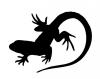 lizard.jpg