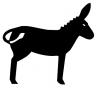 mule_donkey.jpg
