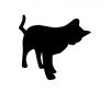 playing_cat.jpg