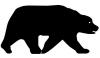 polar_bear.jpg
