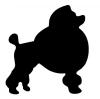 poodle.jpg