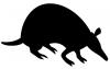 possum.jpg