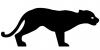 puma.jpg