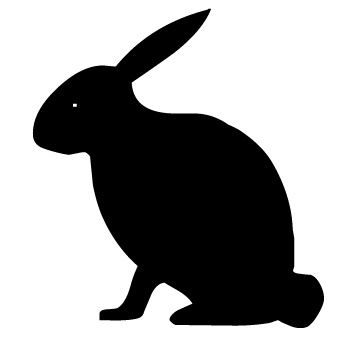 rabbit.jpg