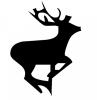 running_deer.jpg