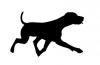 running_dog.jpg