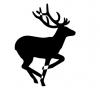 running_elk.jpg