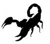 scorpion.jpg