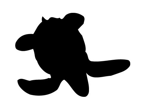 sea_turtle.jpg