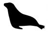 sealion.jpg