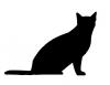 sitting_cat.jpg