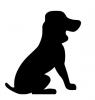 sitting_dog.jpg
