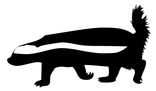 skunk.jpg