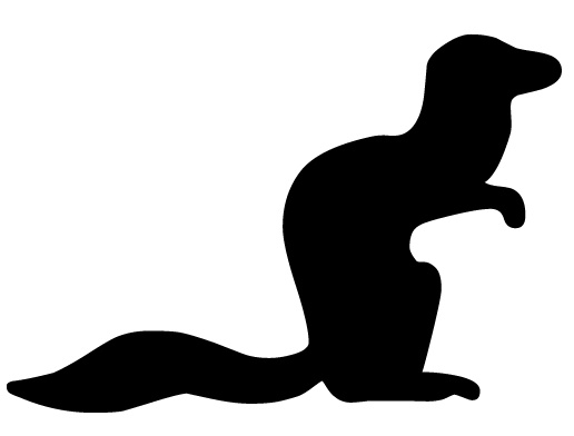squirrel.jpg