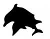 two_dolphins.jpg