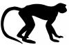 walking_monkey.jpg